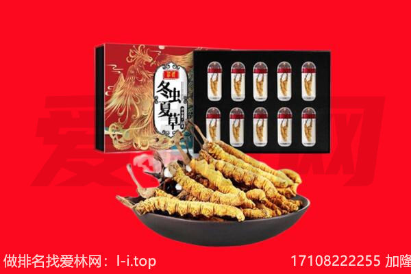 玉树州曲麻莱县回收虫草.jpg
